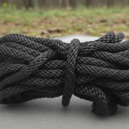 Sac lesté pour - sac, arboriste