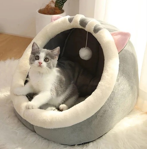 Niche pour chat petit chien - niche,