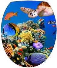 Sticker abattant de WC Tortue