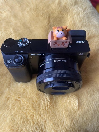Pack complet sony a6000 - a6000, +