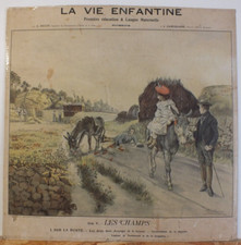 Rare affiche pédagogique 1910