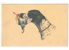 Cartolina d’Epoca Chien De