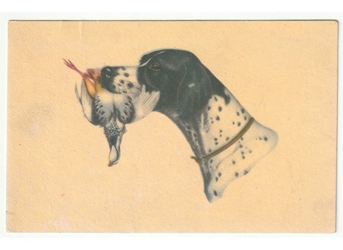Cartolina epoca chien - cartolina, de