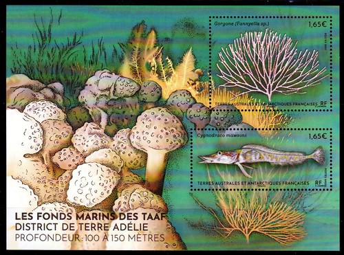 Timbres taaf 1038 - taaf, n°1038