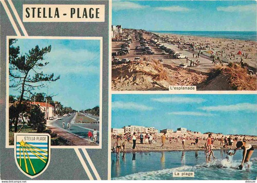 Carte postale stella - 62,
