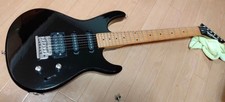 Washburn Seymour Duncan Custom
