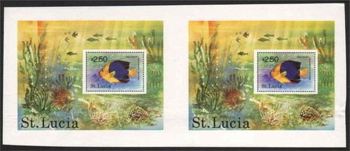 Lucia 1978 tropical fish - lucia,