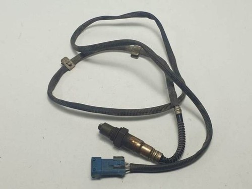0258006029 sonde lambda