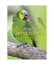 Perroquets amazones, Glendell