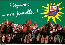 Animaux - Chevaux - Vincennes