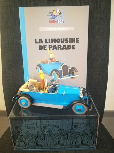 Limousine parade - (19),