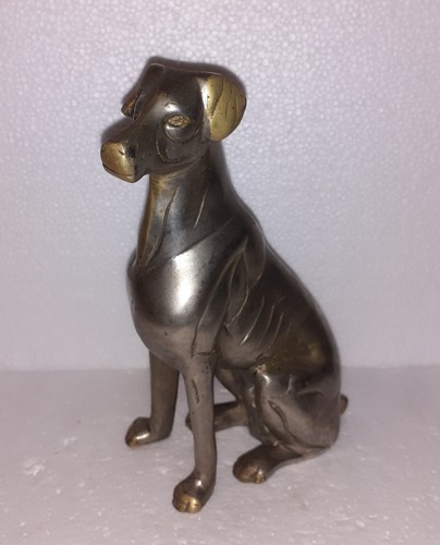 Chien position assise - assise, en