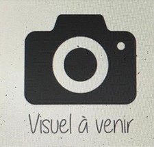 SCHOTT HIGHWAYMAN ORIGINAL