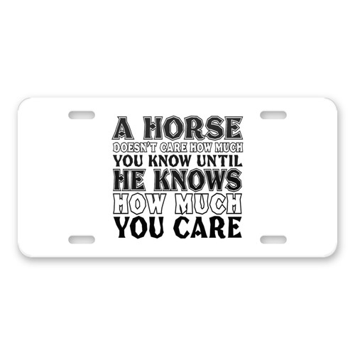 Horse doesn care how much - horse,