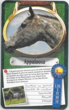 Carte Top Trumps - Chevaux ou Poneys - Appaloosa