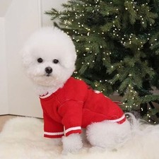 Pull De Noël Pour Chien