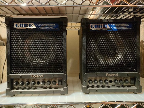 Roland cube guitar - cm-30,