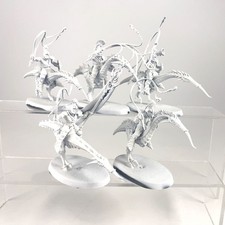 x5 Rabatteurs de slaanesh