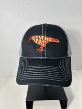 RARE Counting Crows 25th