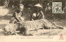 CPA INDOCHINE TONKIN TIGRE TUE PLACE SUR UN BRANCARD