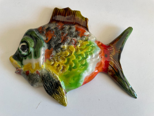 ❤️Superbe poisson en