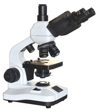 Microscope composé