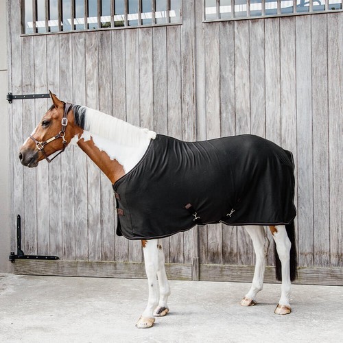 Kentucky horsewear cooler - kentucky,