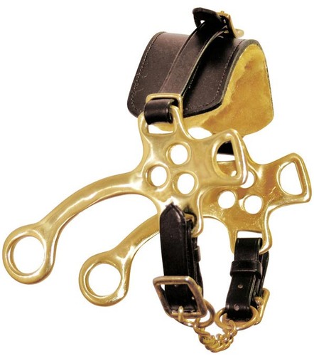 Hackamore laiton plaqué avec