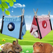 Cachette pour cochon d'Inde