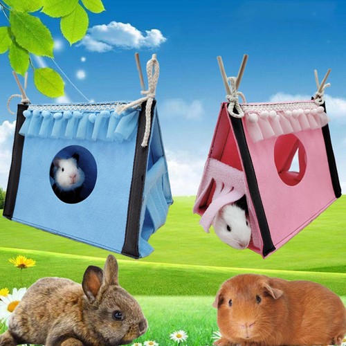 Cachette pour cochon inde - cachette, d'inde