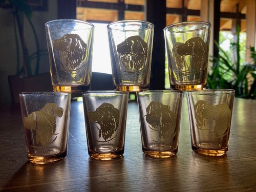 Verre liqueurs à - verre,