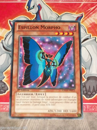 Carte espillon morpho - carte, gi