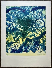 DIAZ Gérard Lithographie