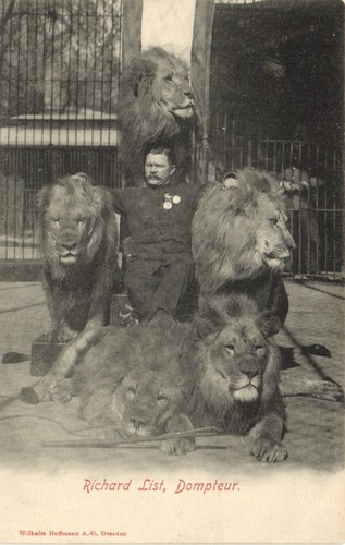 Circus entertainment - circus,