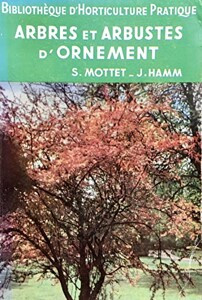 Arbres arbustes ornement - arbres, et