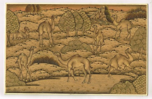 Rajasthan peinture miniature - peinture,
