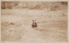 Antique 1926 Baby Bear Bretton