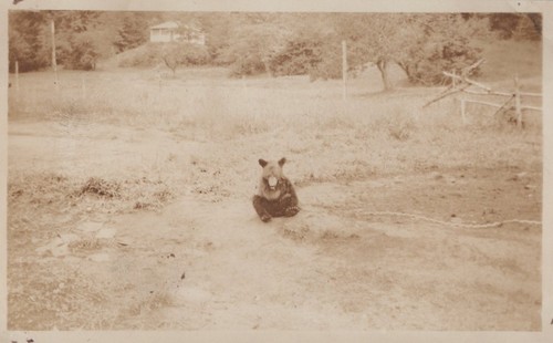 Antique 1926 baby - antique,