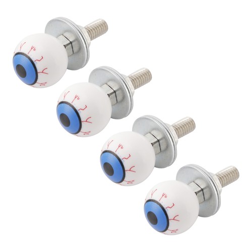 Vis plaque immatriculation - 4x,