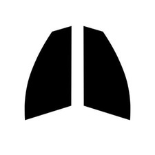 Pré Coupe Vitre Teintée