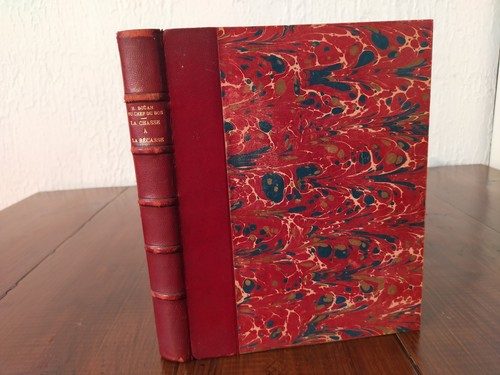 Chasse bécasse en - a,