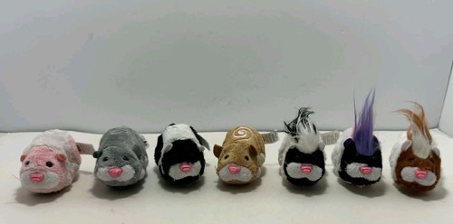 Lot zhu pets hamsters - zhu,