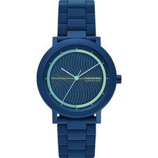 Montre Pour Homme Skagen AAREN