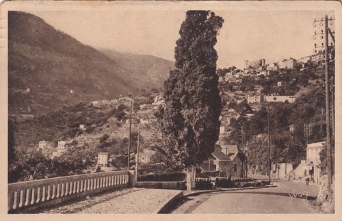 Carte postale postcard - 🦬carte,