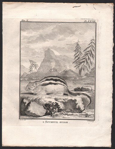 1802 belle gravure - belle,