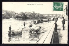 60 CREIL - L'Abreuvoir - Boeufs