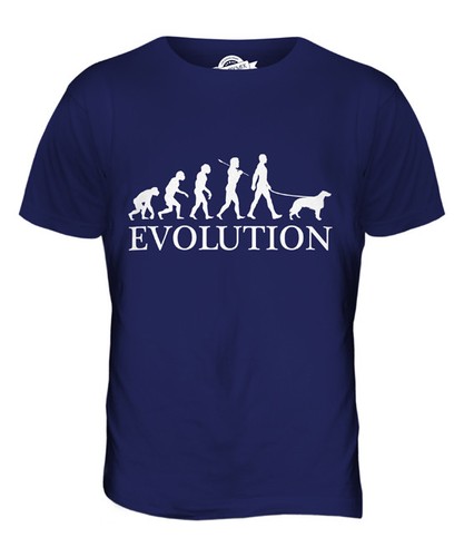 Irish setter evolution - evolution, man
