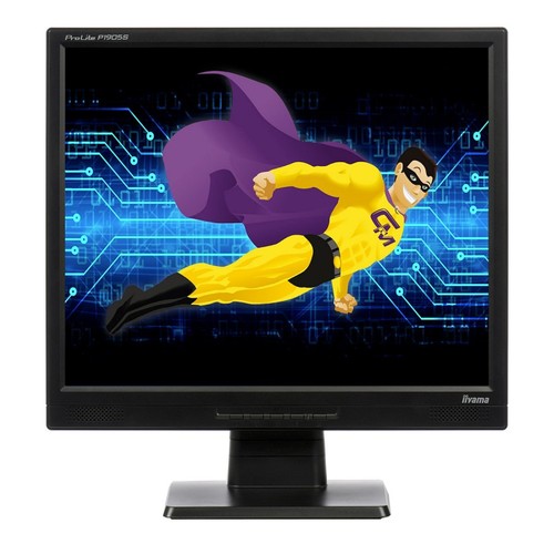 Ecran iiyama prolite - 19",