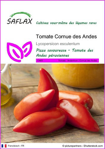 Saflax tomate cornue - saflax,
