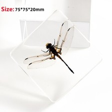 Véritable Résine Mer